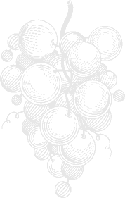 BluVines @ Bloupunt Winery