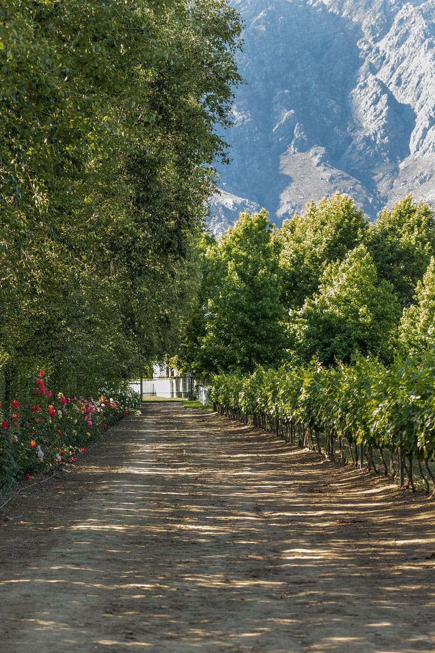 Klein Champagne 2014 (Pty) Ltd