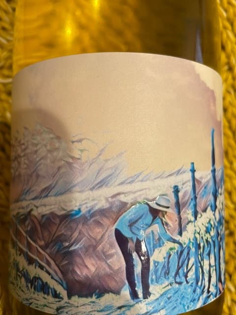 Pét Nat Weisser Riesling