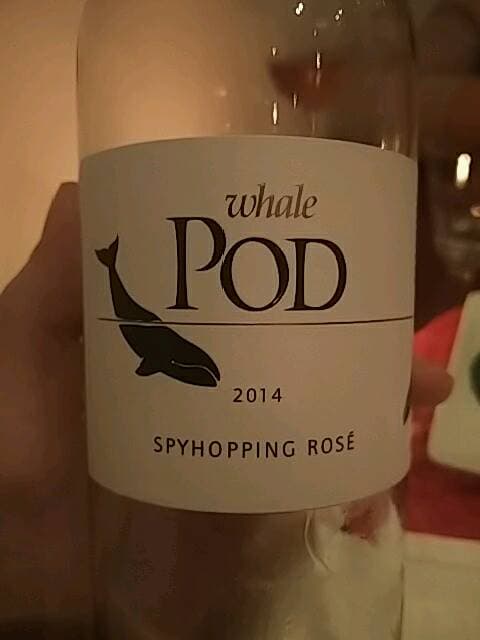 Whale Pod Spyhopping Rosé
