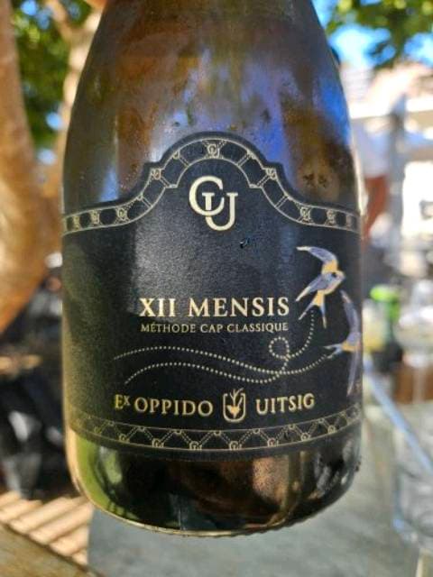 Ex Oppido XII Mensis