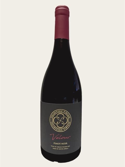 Collectible Vintage Velour Pinot Noir