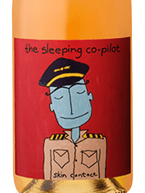 The Sleeping Co-Pilot