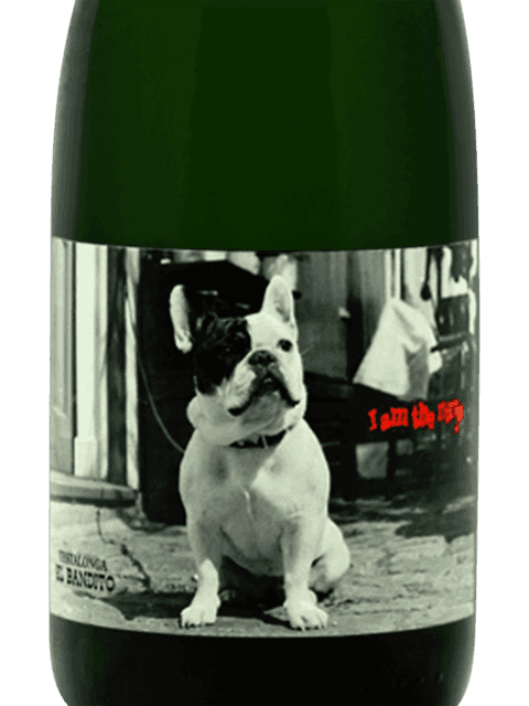 El Bandito I Am The Ninja Pet Nat