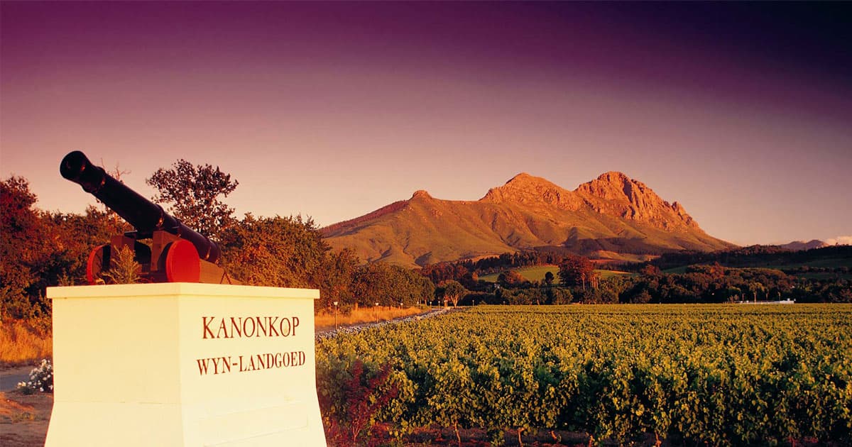 Kanonkop Wine Estate