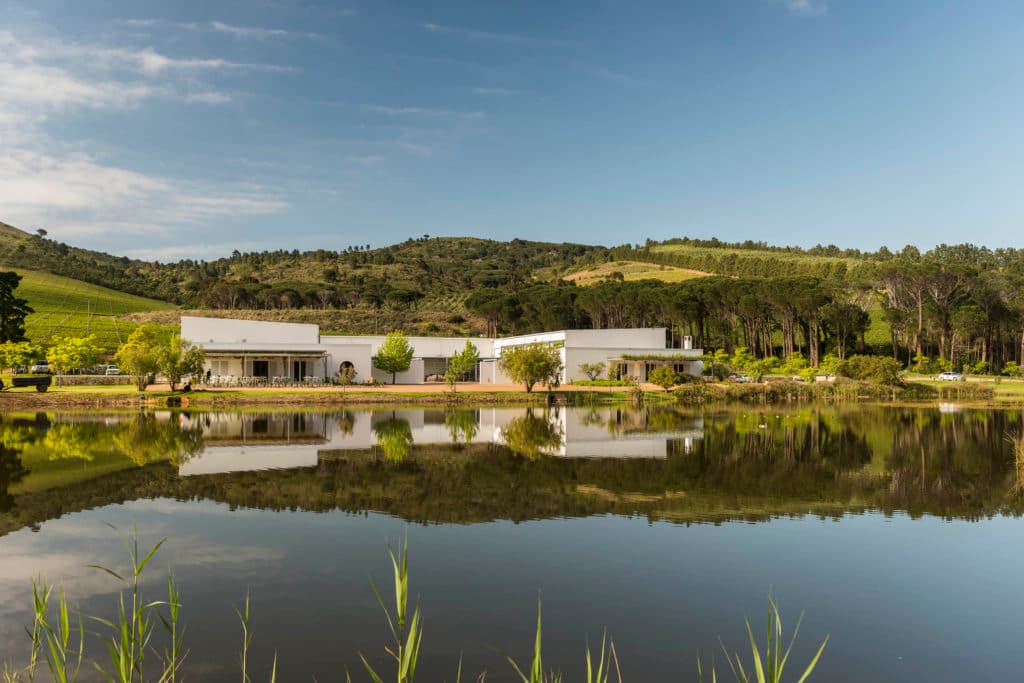 Morgenster Wine &amp; Olive Estate