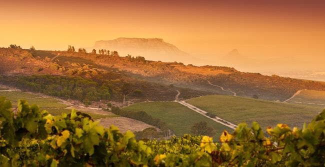 Kaapzicht Wine Estate