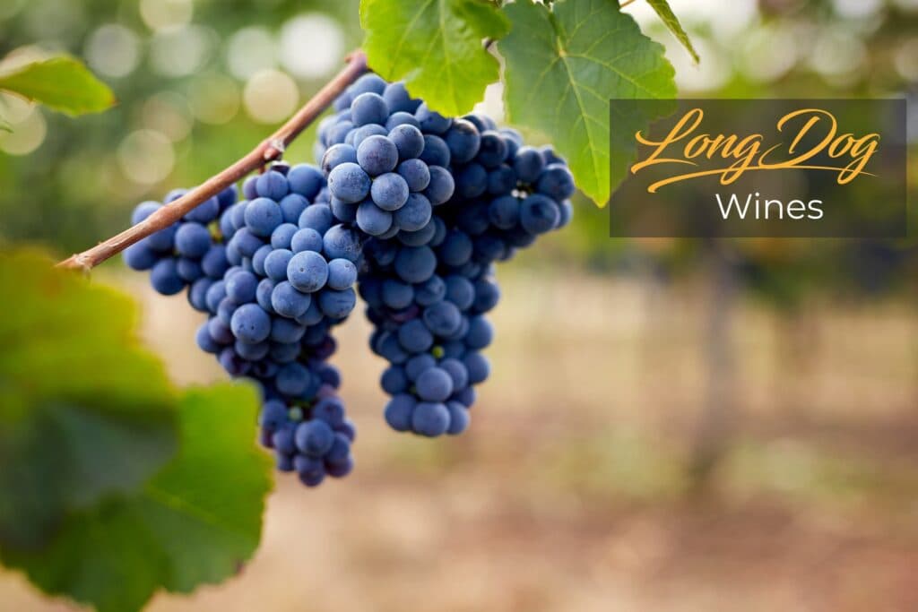 Long Dog Wines