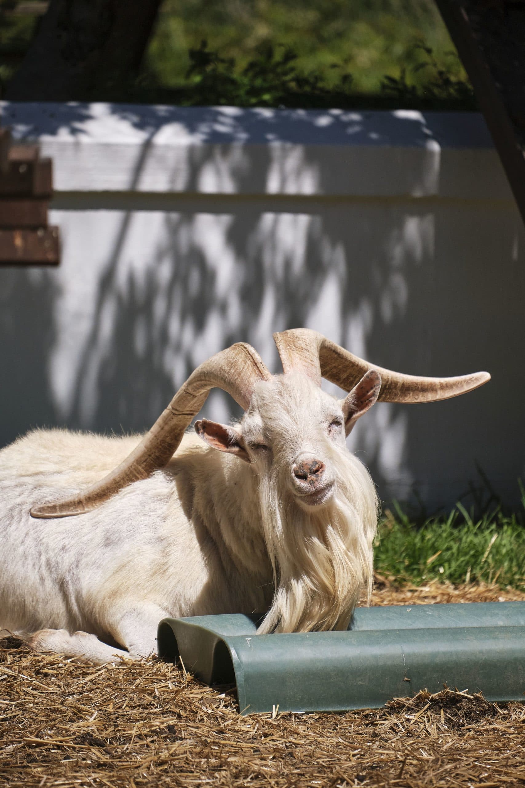 Fairview Wine and Cheese