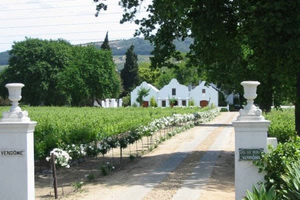 Vendôme Wine Estate