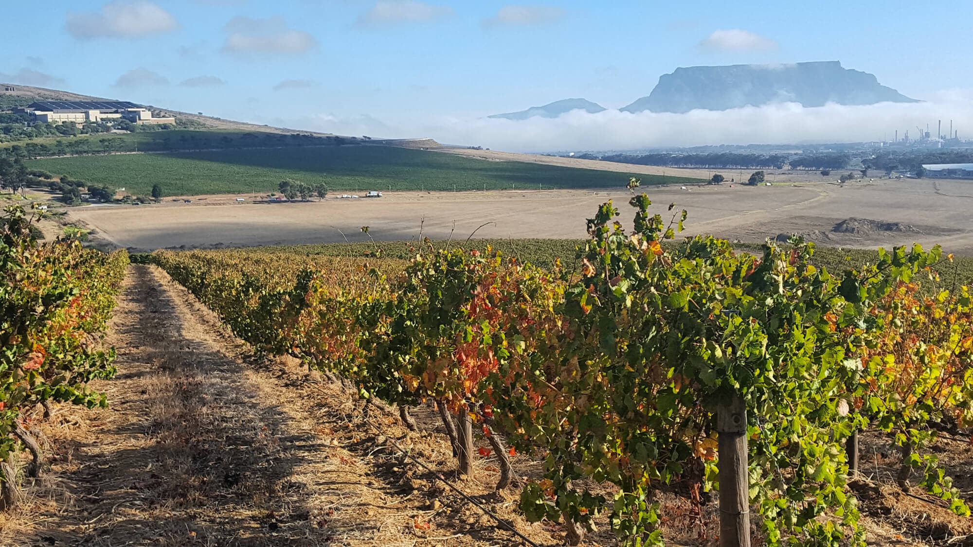 Mellish Family Vineyards