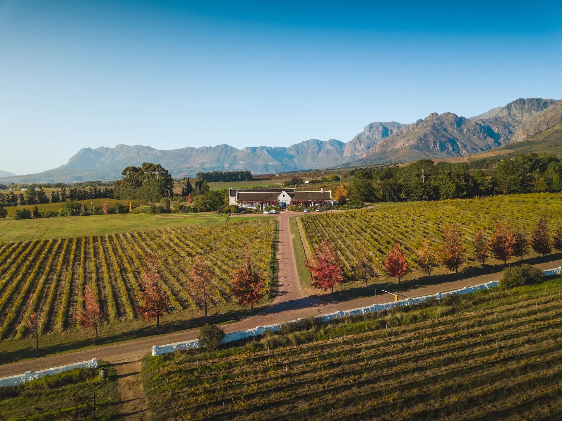 Avondale Wine, Paarl