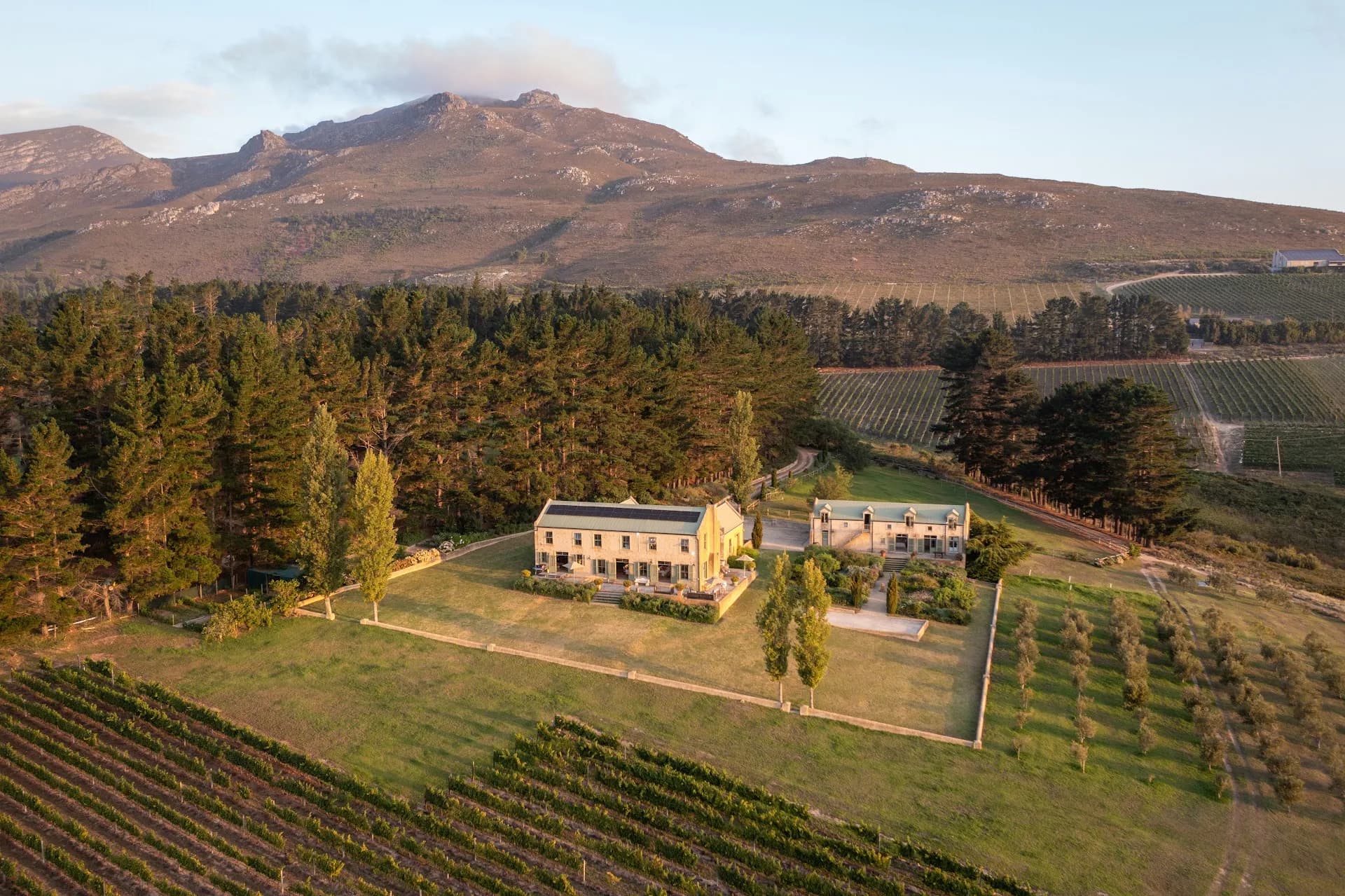 Moya's Vineyard, Hemel-en-Aarde