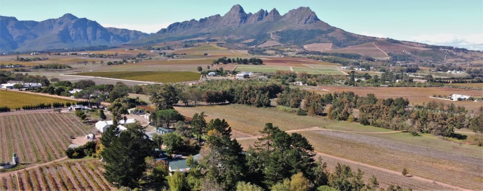 Post House Vineyards