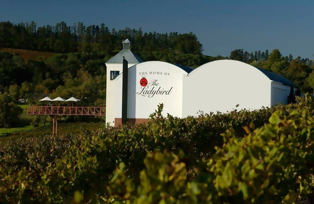 Ladybird Vineyards
