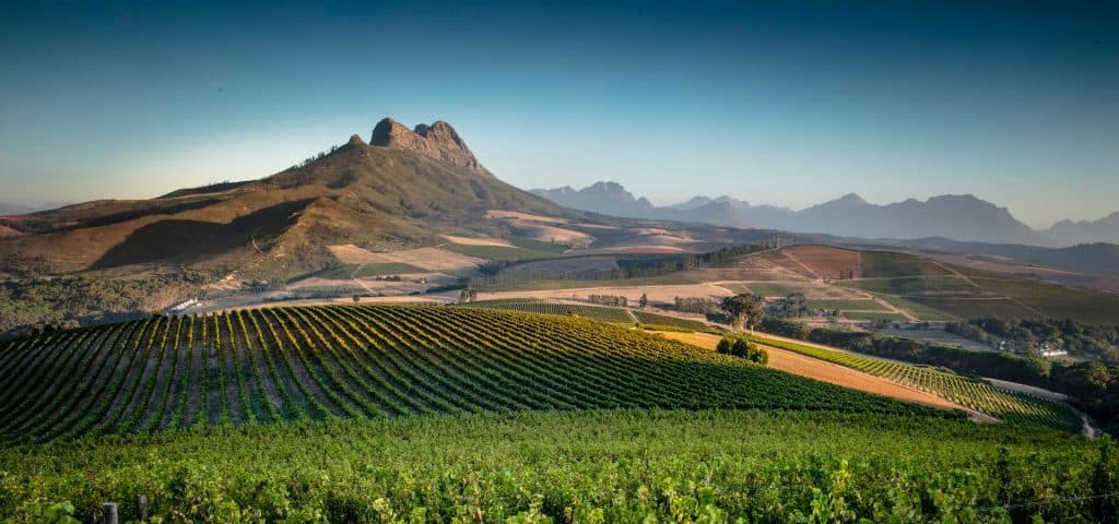 Le Bonheur Wine Estate